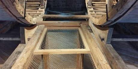 Powiększ grafikę: brawo-iga-657076.jpg