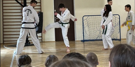 Powiększ grafikę: Pokazy Taekwondo