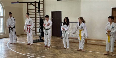 Powiększ grafikę: Pokazy Taekwondo