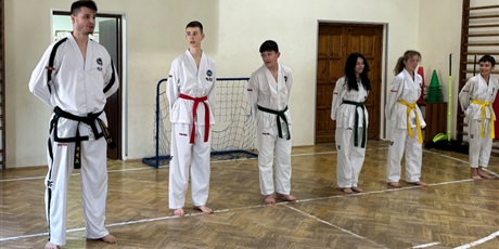 Powiększ grafikę: Pokazy Taekwondo