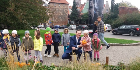 Powiększ grafikę: dynie-na-placu-kobzdeja-37372.jpg