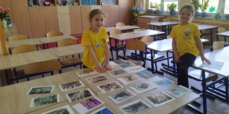 Powiększ grafikę: Dwie dziewczynki w żółtych koszulkach w sali lekcyjnej. Na ławkach rozłożone są zdjęcia.