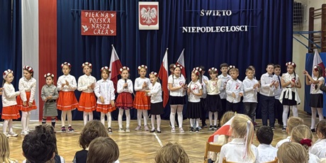 Powiększ grafikę: obchody-swieta-niepodleglosci-654375.jpg
