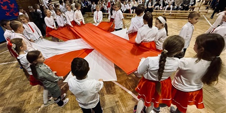 Powiększ grafikę: obchody-swieta-niepodleglosci-654391.jpg