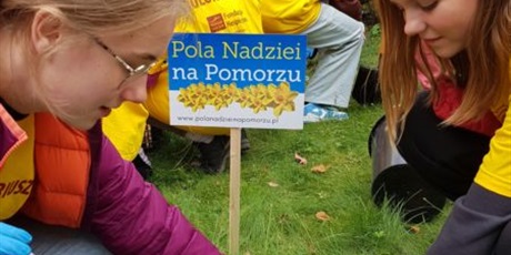 Powiększ grafikę: POLA NADZIEI