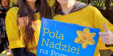 Powiększ grafikę: POLA NADZIEI