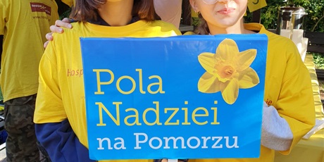 Powiększ grafikę: POLA NADZIEI