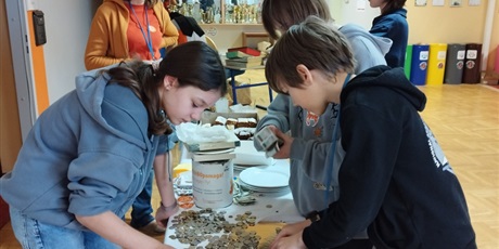 Powiększ grafikę: tumbo-pomaga-657041.jpg