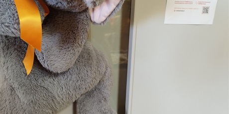 Powiększ grafikę: tumbo-pomaga-657051.jpg