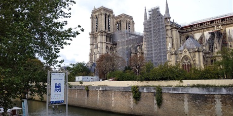 Powiększ grafikę: Notre-Dame de Paris (zdjęcie dodatkowe)  Gotycka archikatedra w Paryżu. Jedna z najbardziej znanych katedr na świecie