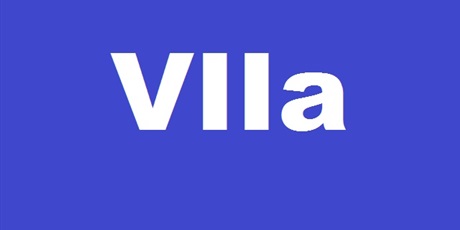 Powiększ grafikę: Klasa VIIId