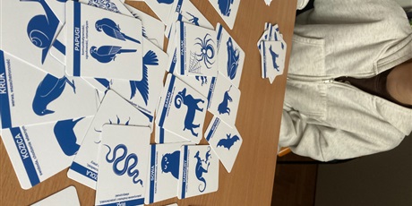 Powiększ grafikę: Projekty