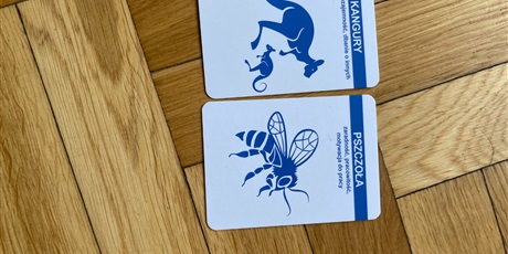 Powiększ grafikę: Projekty