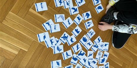Powiększ grafikę: Projekty